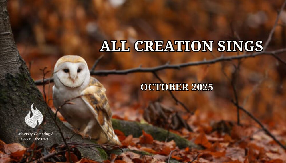 Creation Lifts Their Voice 2025