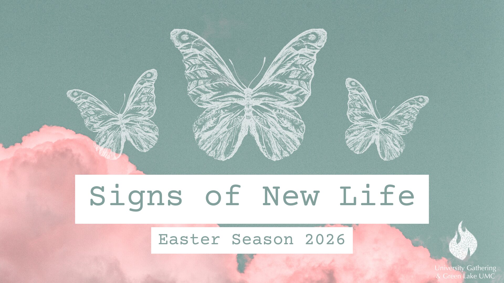 Signs of New Life 2026